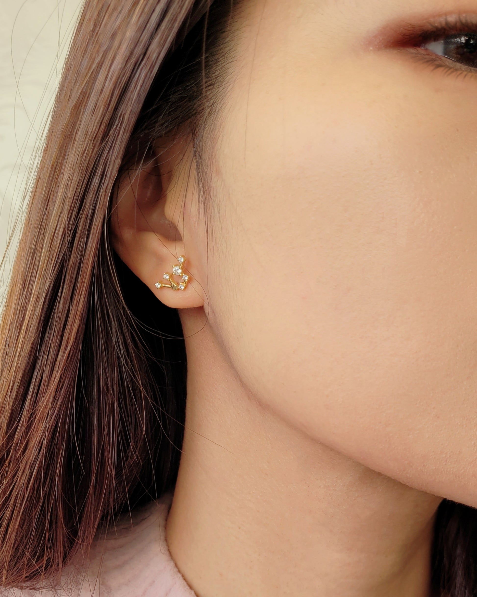 Starry Constellation Earring Aquarius Zodiac jewellery for women