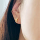 Starry Zodiac Sign Earrings · Aries