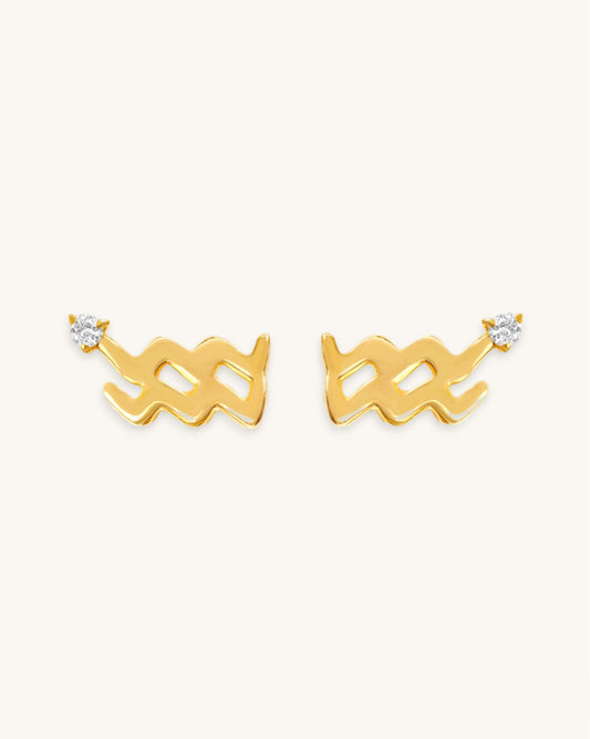 Aquarius earrings