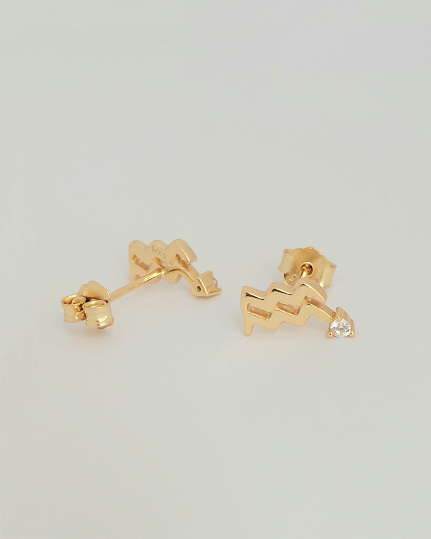 Aquarius sign earrings