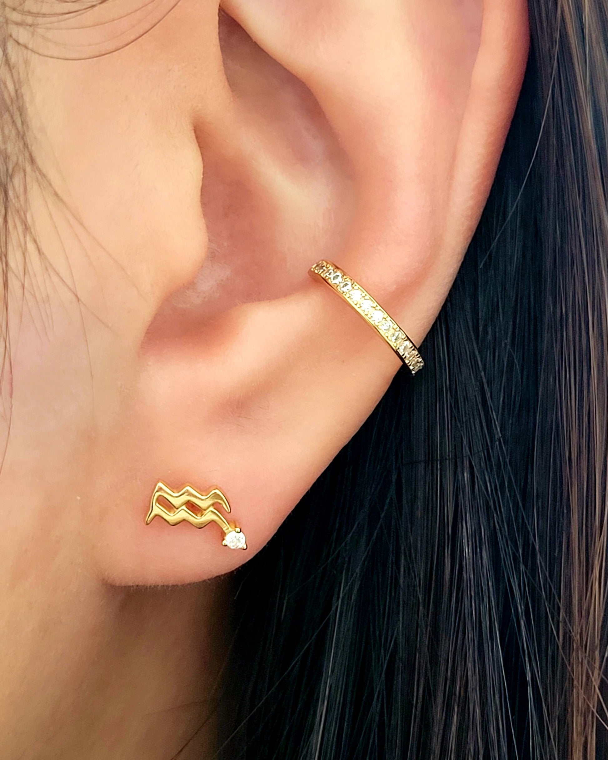 constellation zodiac Aquarius earrings