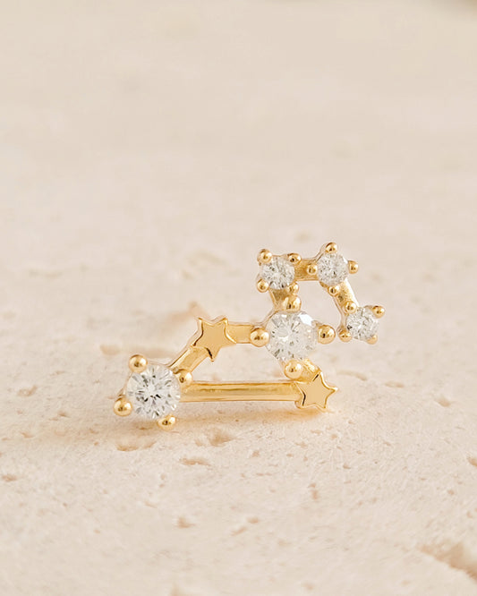 Starry Constellation Earring · Leo