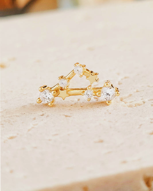 Starry Constellation Earring Pisces Zodiac jewellery for women